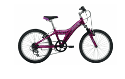 20" Wheel 5 to 8 Years Childrens Bike