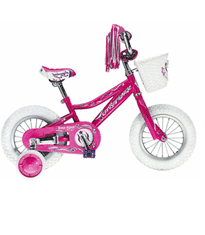 12" Wheel 2 to 4 years children's bike