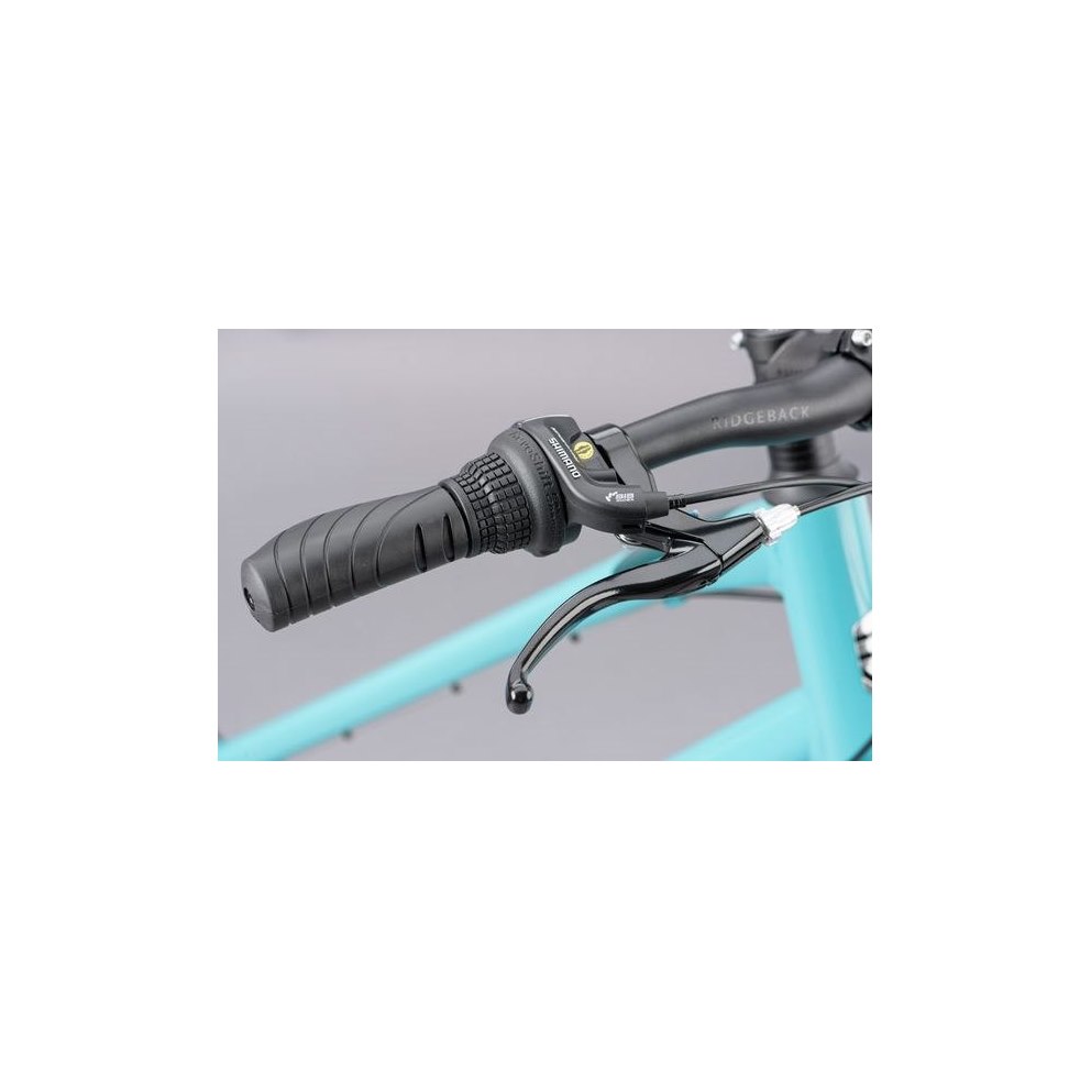 ladies ridgeback comet bike