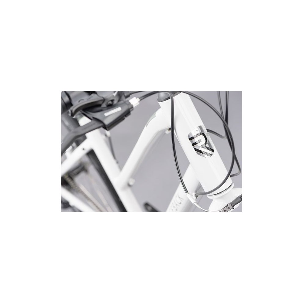 ridgeback motion open frame